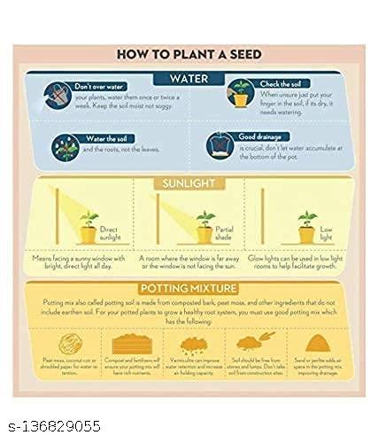 31+ Premium F1 Hybrid Vegetable Seeds